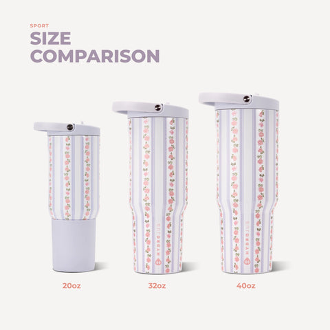 Sport 20oz | Insulated Water Bottle, Leakproof Flip Straw – Primrose