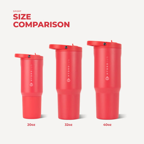 Sport 20oz | Insulated Water Bottle, Leakproof Flip Straw – Fruit Punch