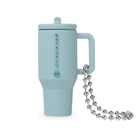 Traveler Keychain | Silicone Mini Traveler, Metal Chain
