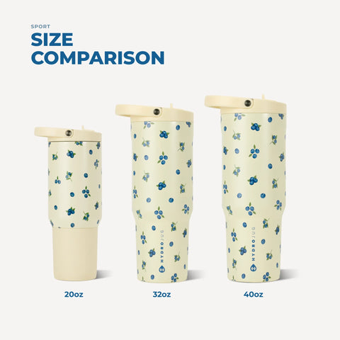 Sport 20oz | Insulated Water Bottle, Leakproof Flip Straw – Freshly Pick'd