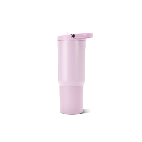 Sport 20oz | Insulated Water Bottle, Leakproof Flip Straw – Sweet Pea