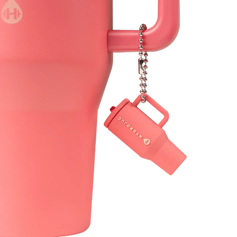 Traveler Keychain | Silicone Mini Traveler, Metal Chain
